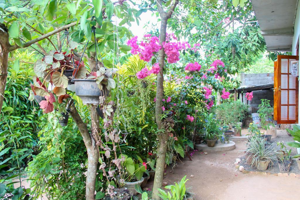 Hotel Nethum Rest à Mirissa Extérieur photo